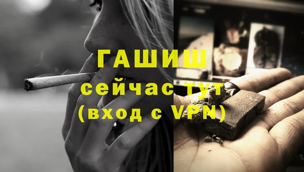 прущие грибы Ессентукская