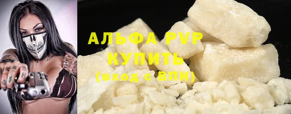прущие грибы Ессентукская