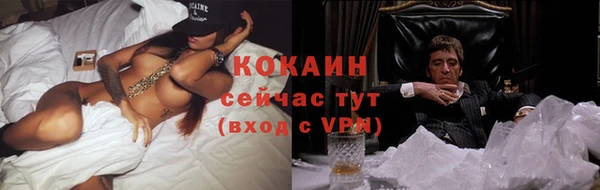 прущие грибы Ессентукская