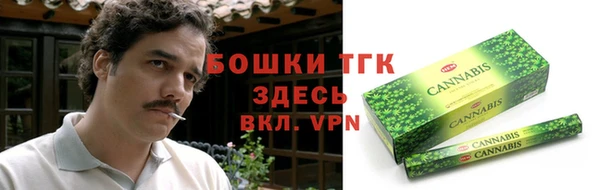 прущие грибы Ессентукская
