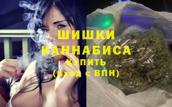 прущие грибы Ессентукская