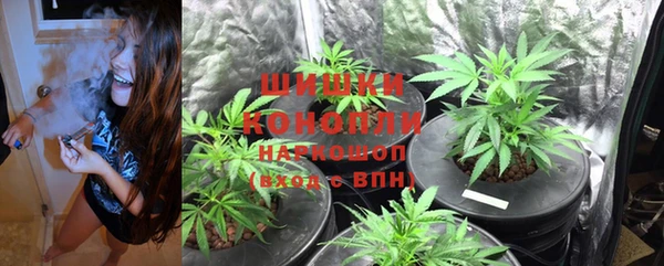 кокс Калининец