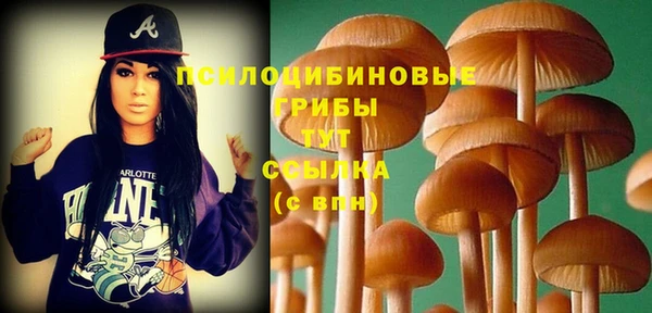 прущие грибы Ессентукская