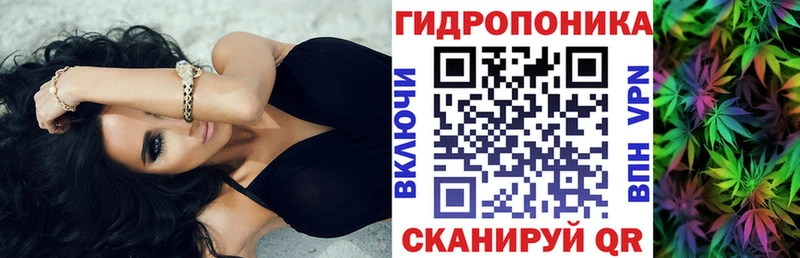 Марихуана план  где можно купить наркотик  Воронеж 